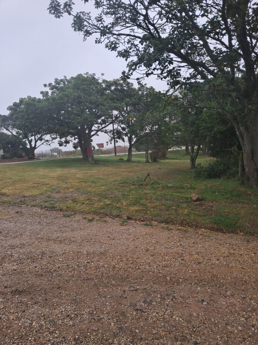 0 Bedroom Property for Sale in Alexandria Eastern Cape